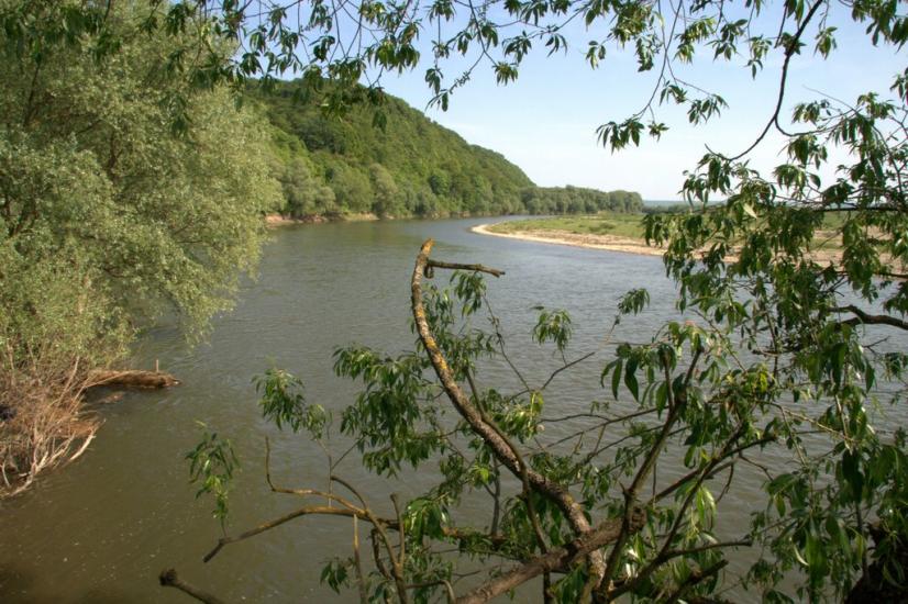 Журавно з panoramio.com - Журавно