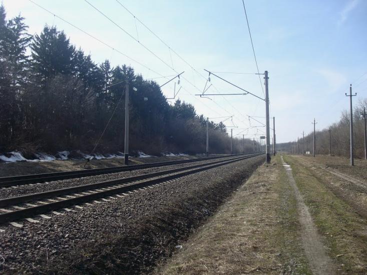 Радівці з panoramio.com - Радівці