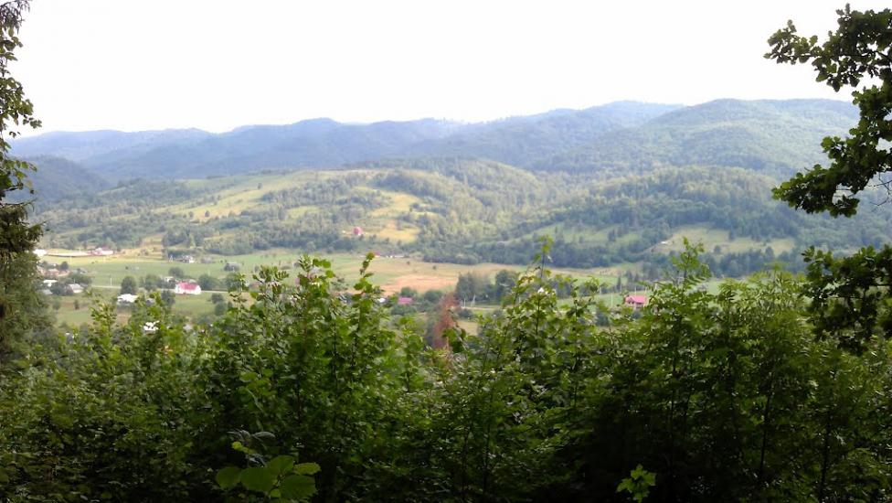 Прокурава з panoramio.com - Прокурава