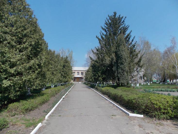 Краснопілка з panoramio.com - Краснополка
