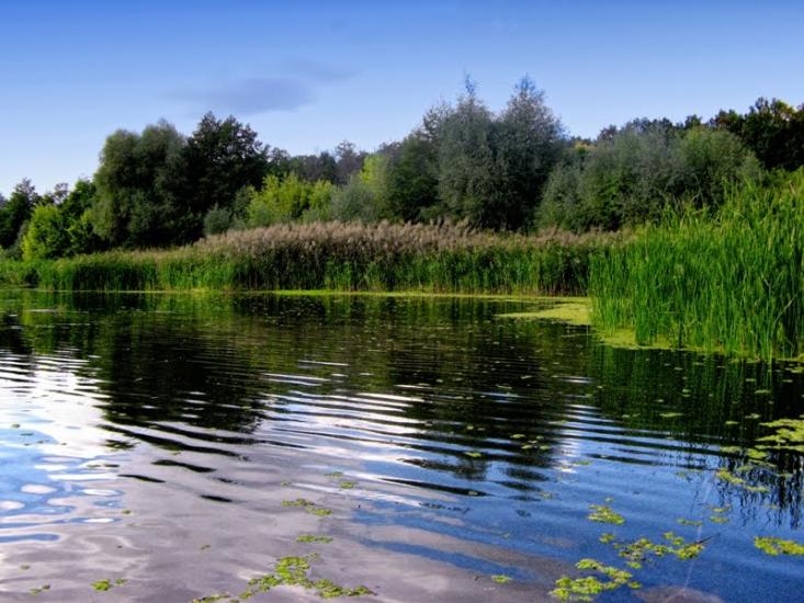 Шелудьківка з panoramio.com - Sheludkivka