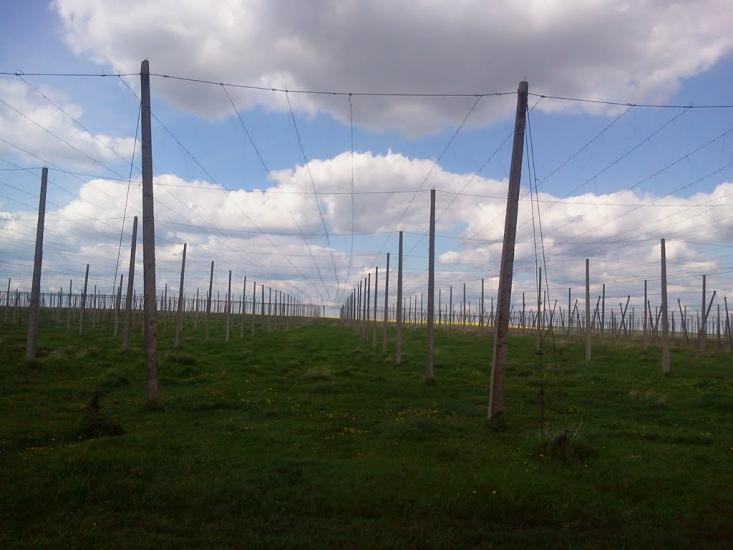 Гірка Полонка з panoramio.com - Гірка Полонка