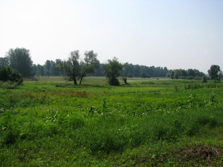 Гавронці з panoramio.com - Гавронцы