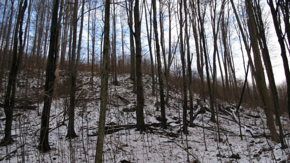 Ворочово з panoramio.com - Ворочево
