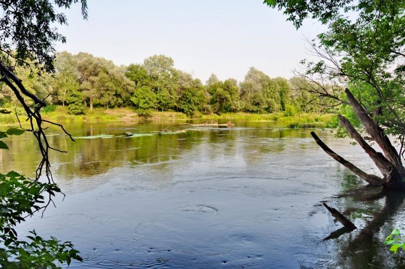Шипилівка з panoramio.com - Shypylivka