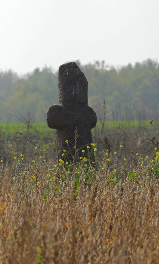 Карбівське з panoramio.com - Карбовское