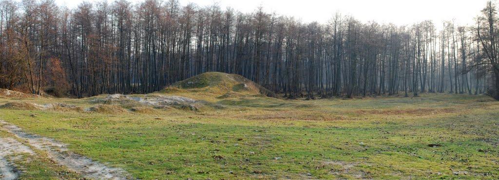 Нараївка з panoramio.com - Нараевка