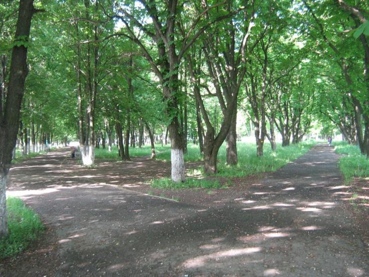 Нова Березівка з panoramio.com - Нова Березівка