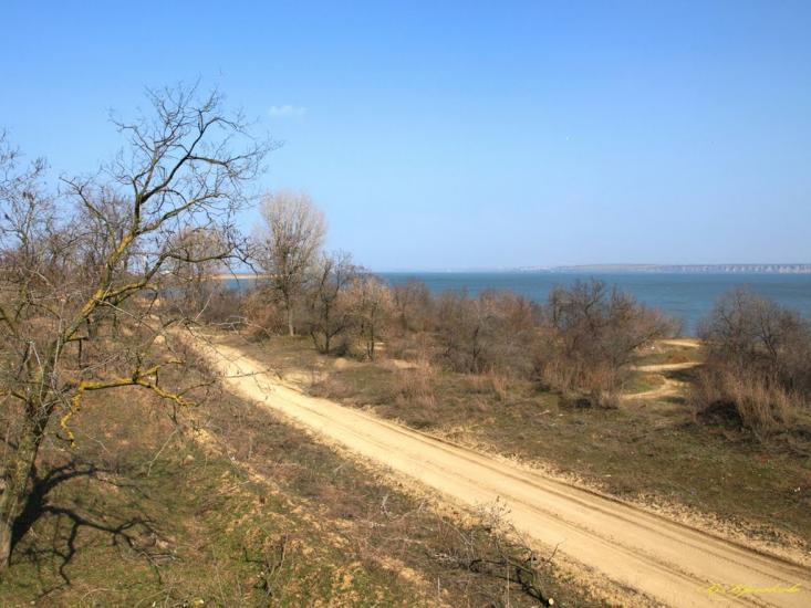 Шабо з panoramio.com - Shabo