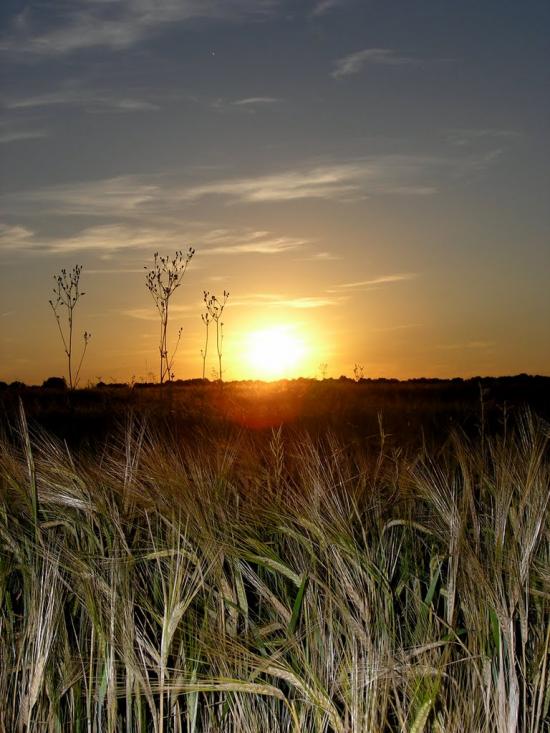 Кашперівка з panoramio.com - Кашперівка