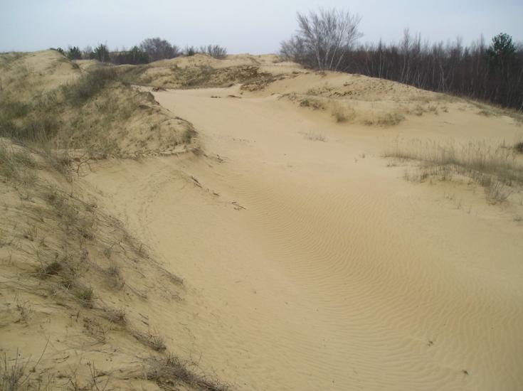 Пролетарка з panoramio.com - Пролетарка