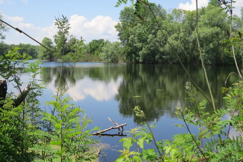 Тубільці з panoramio.com - Tubiltsi