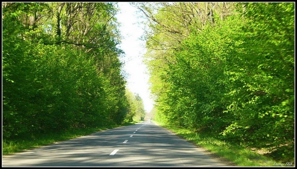 Бадалово з panoramio.com - Бадалово