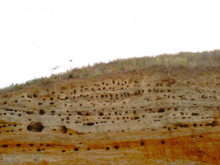 Чорноморка з panoramio.com - Черноморка