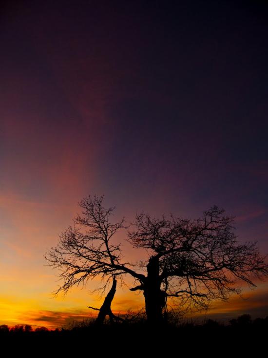 Журавно з panoramio.com - Журавно