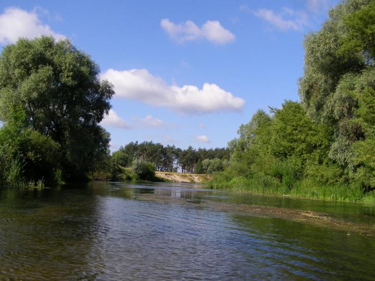 Велика Чернеччина з panoramio.com - Велика Чернеччина