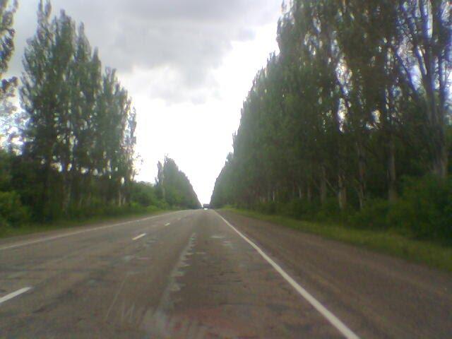Цупки з panoramio.com - Цупки