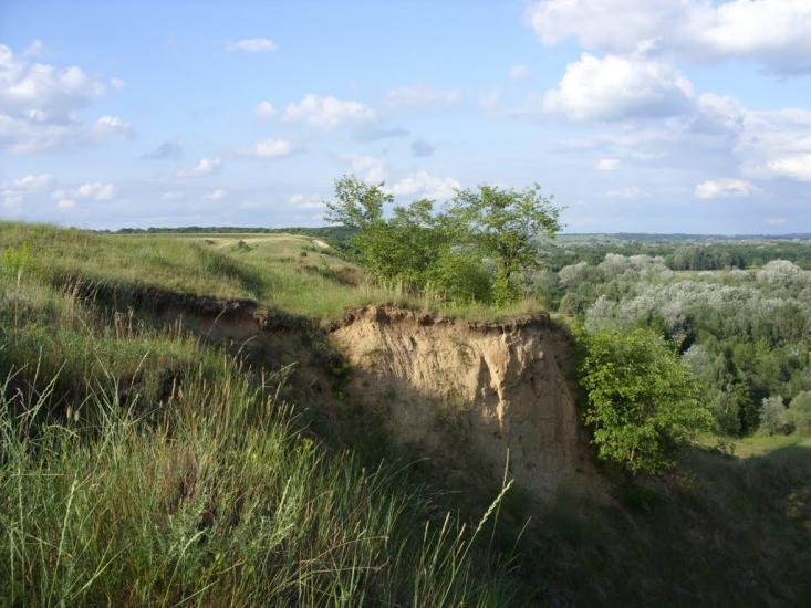 Заможнє з panoramio.com - Заможнє