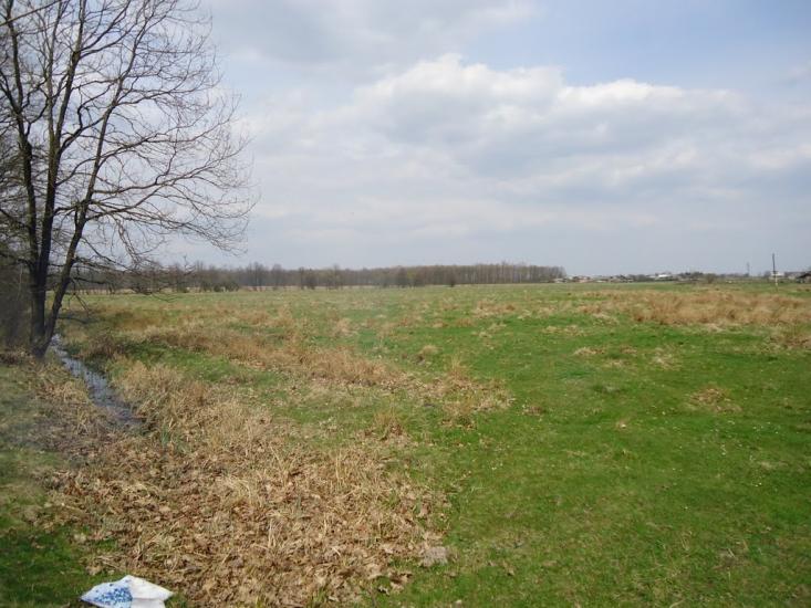 Копанки з panoramio.com - Копанки
