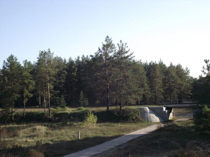 Ярова з panoramio.com - Яровая