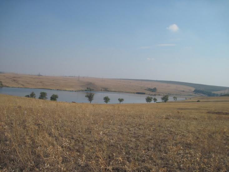 Куряче з panoramio.com - Курячье