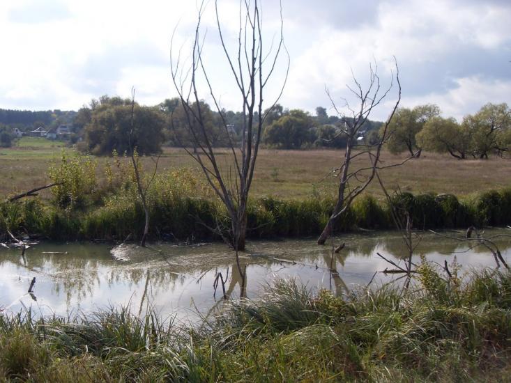 Мала Солтанівка з panoramio.com - Mala Soltanivka