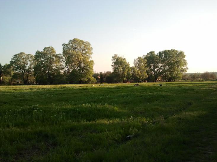 Вишневе з panoramio.com - Вишневе