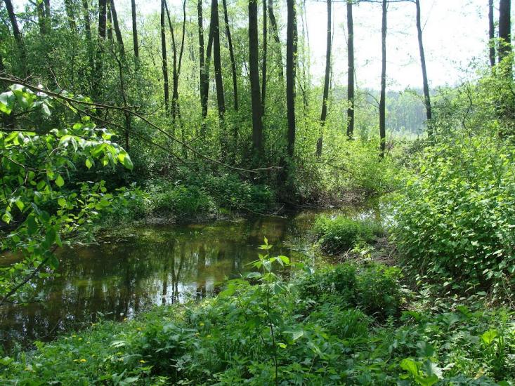 Віта-Поштова з panoramio.com - Вита-Почтовая