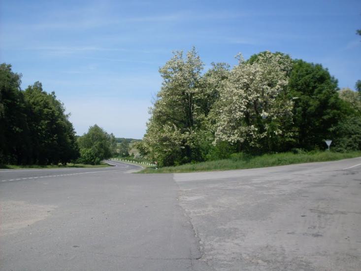 Карбівське з panoramio.com - Karbivske