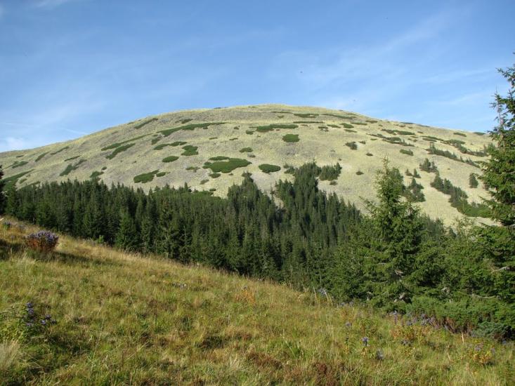 Черник з panoramio.com - Черник