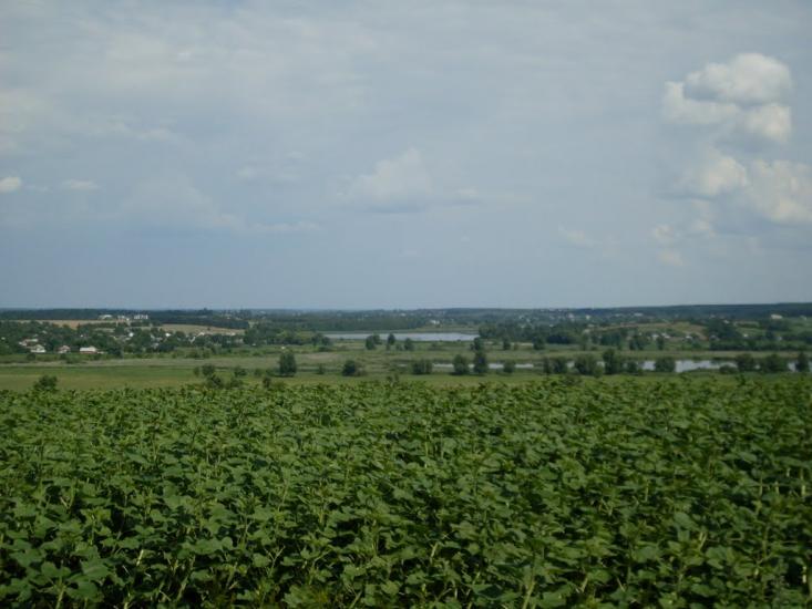 Дашів з panoramio.com - Dashiv