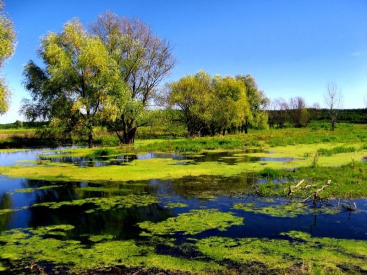 Шелудьківка з panoramio.com - Sheludkivka