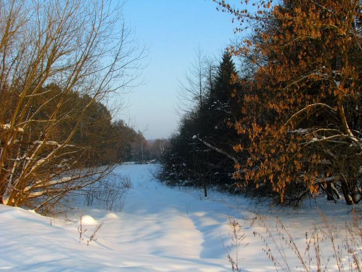 Волиця з panoramio.com - Волица