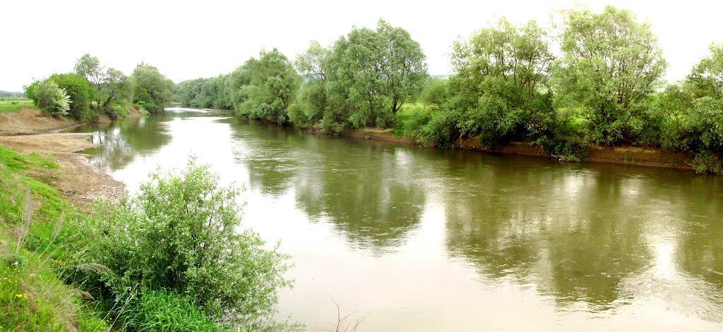 Черниця з panoramio.com - Черниця