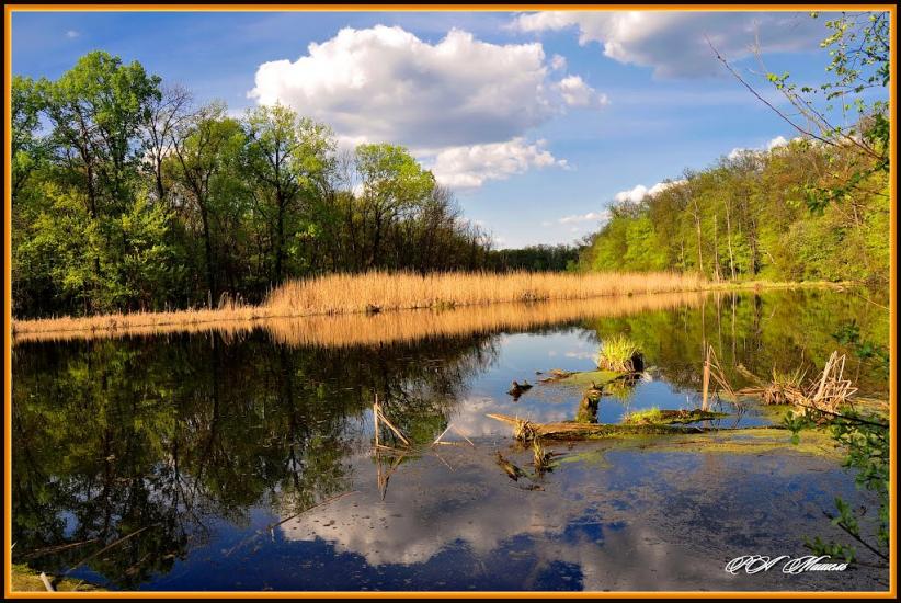 Дронівка з panoramio.com - Dronivka
