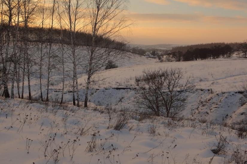Черкаська Лозова з panoramio.com - Черкасская Лозовая