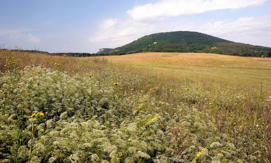Прохладне з panoramio.com - Прохладное