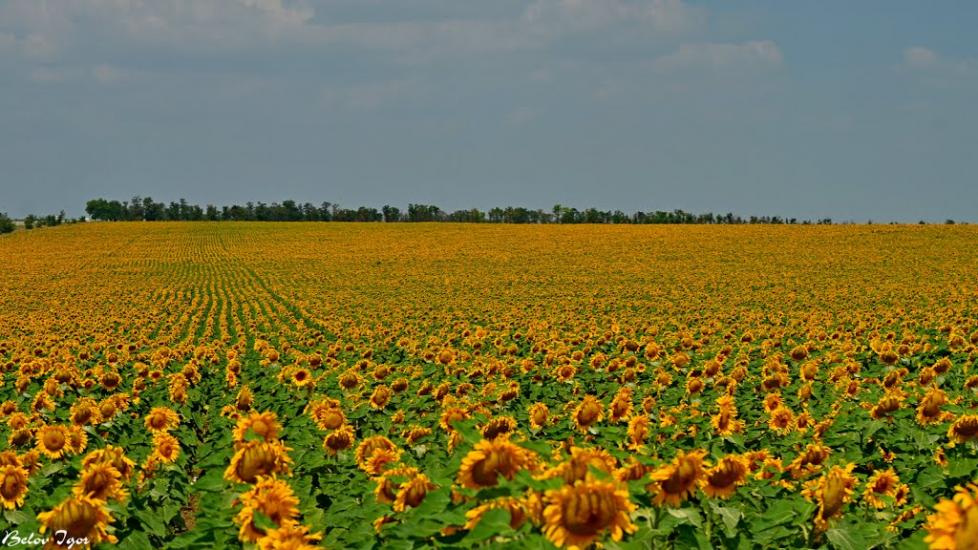 Болгарка з panoramio.com - Болгарка