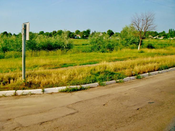 Лука з panoramio.com - Лука
