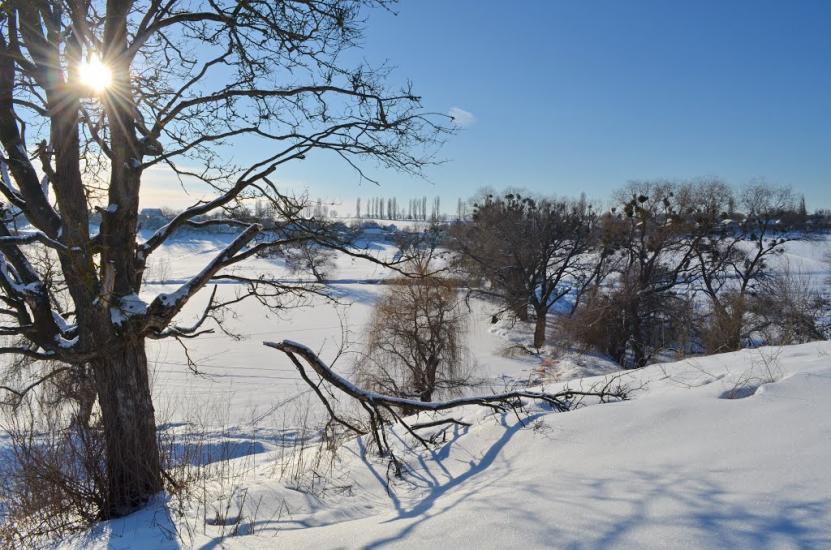 Велика Мотовилівка з panoramio.com - Велика Мотовилівка
