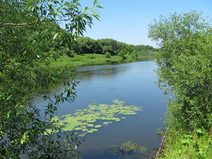 Губків з panoramio.com - Губків