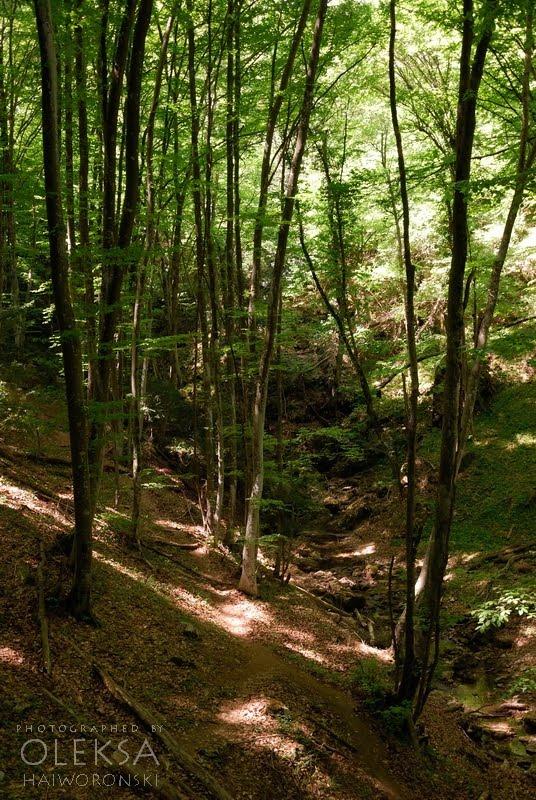 Багата Ущелина з panoramio.com - Bagata Uschelyna
