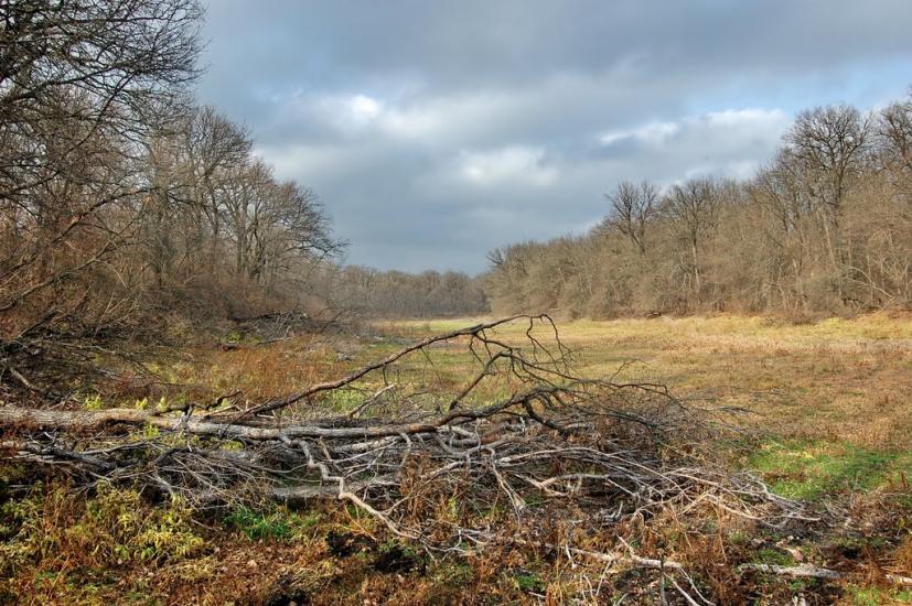 Шипилівка з panoramio.com - Shypylivka