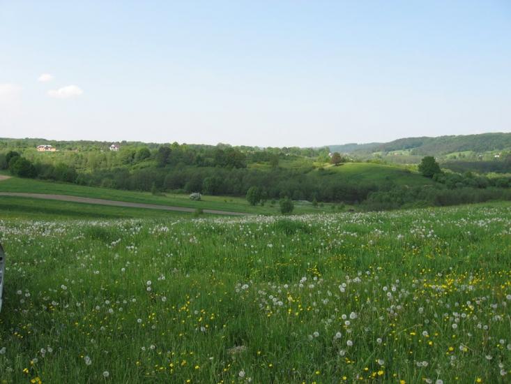 Лісопотік з panoramio.com - Лесопоток