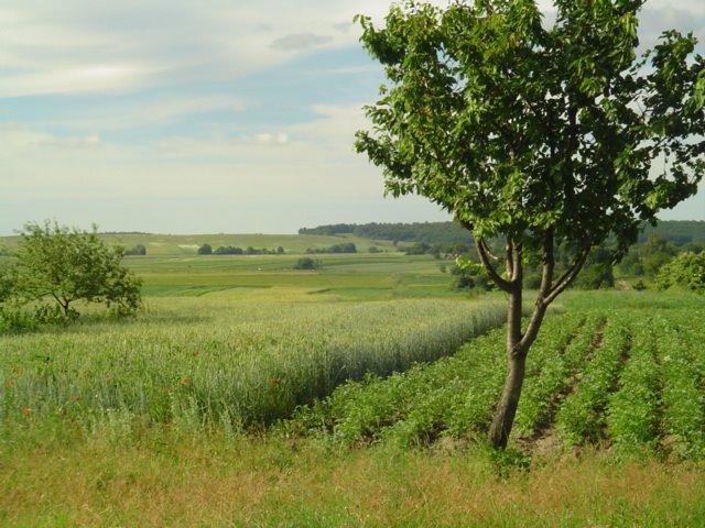 Бодячів з panoramio.com - Бодячев