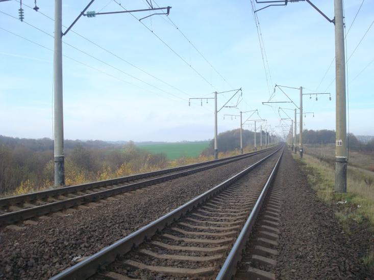 Рідкодуби з panoramio.com - Рідкодуби