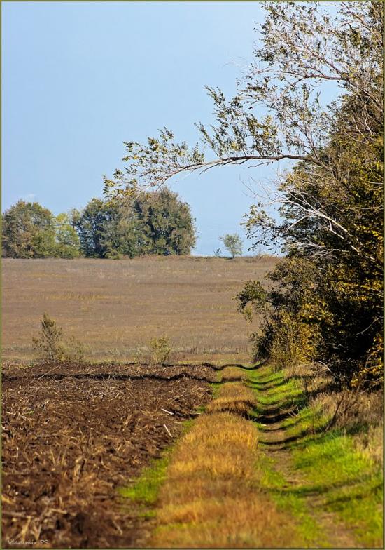 Новомайське з panoramio.com - Новомайское