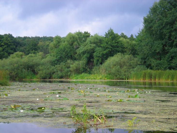 Верхоли з panoramio.com - Верхолы