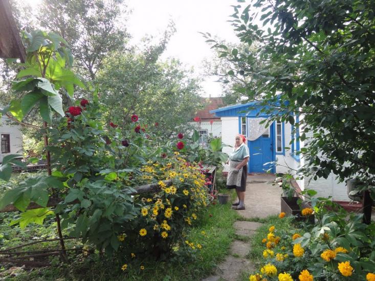 Засупоївка з panoramio.com - Засупоевка