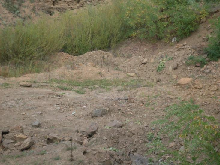 Жерденівка з panoramio.com - Жерденівка